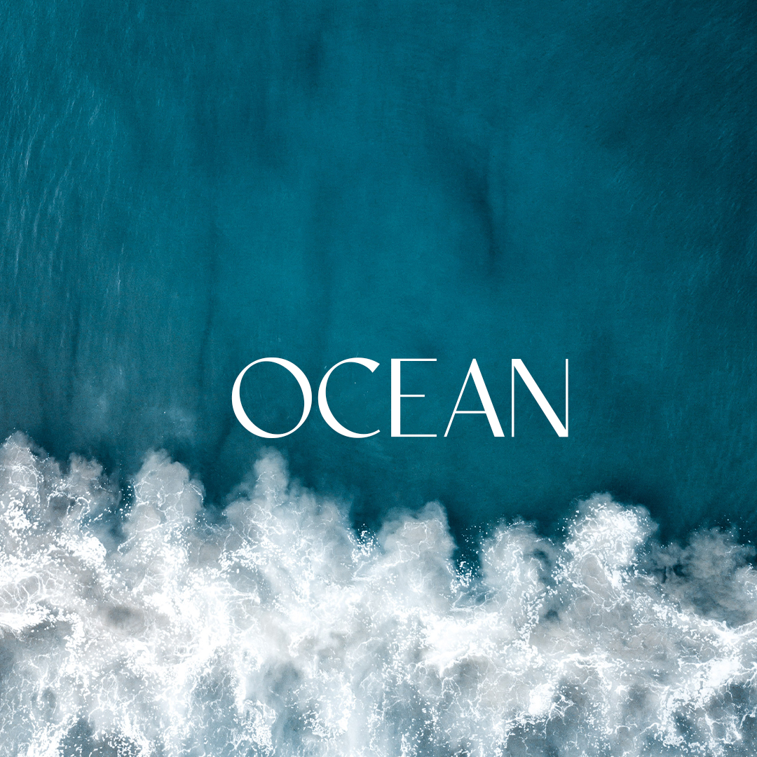 Ocean